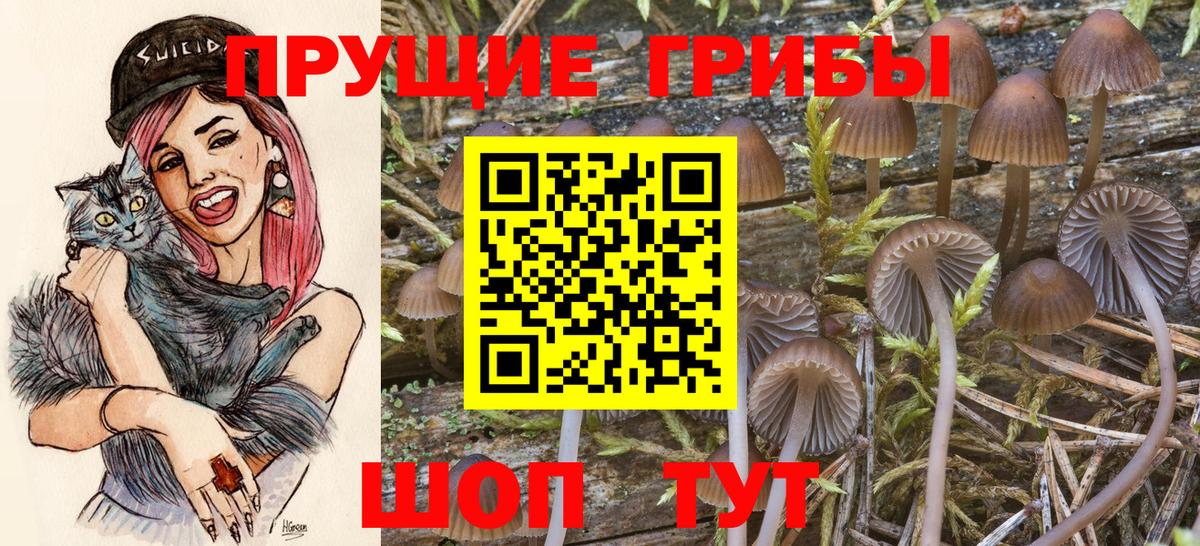 Галлюциногенные грибы ЛСД Красногорск